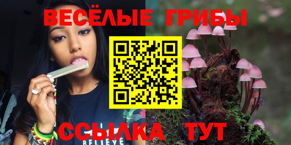 Галлюциногенные грибы ЛСД  Галлюциногенные грибы Psilocybine cubensis  Вход с VPN  Жигулёвск 